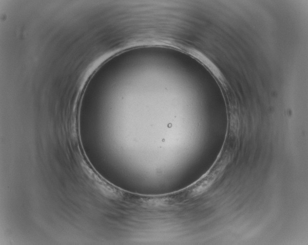 X0000072551004200607211354