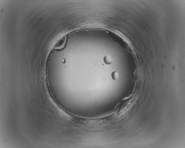 X0000072551005200607211354