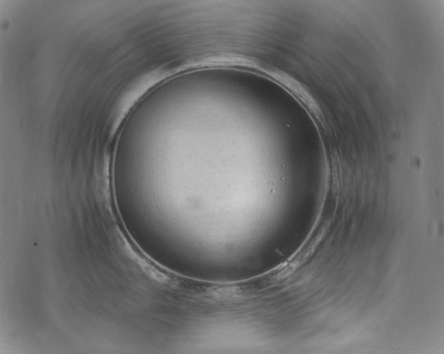 X0000072551006200607211354