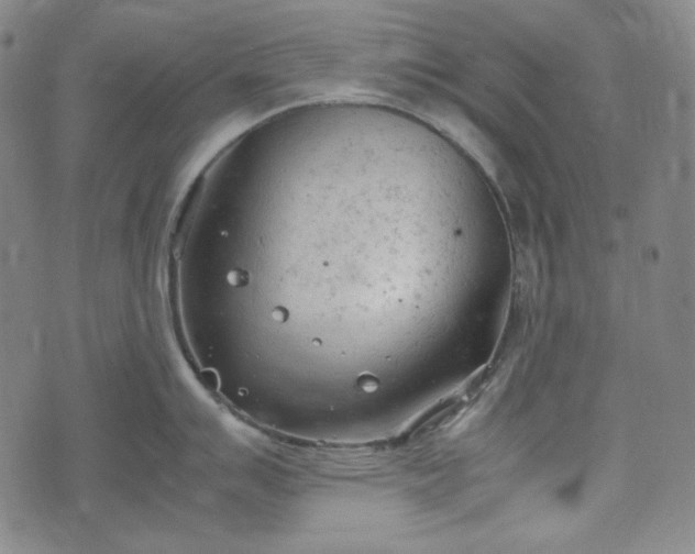 X0000072551007200607211354