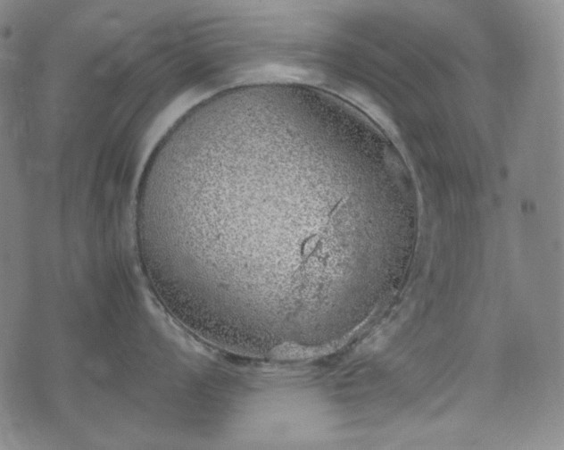 X0000072551008200607211354