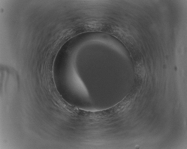 X0000072551009200607211353