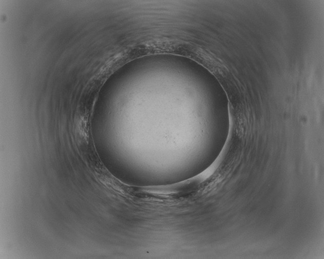 X0000072551010200607211353