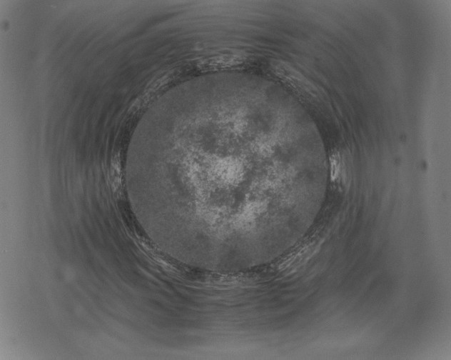 X0000072551011200607211353