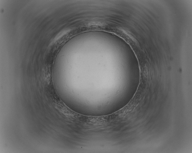 X0000072551015200607211354