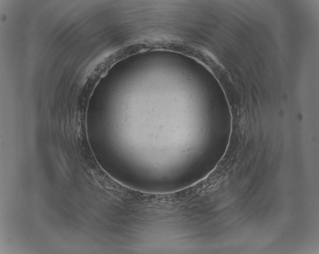 X0000072551016200607211354