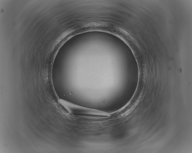 X0000072551017200607211354