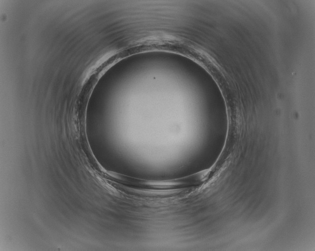 X0000072551018200607211354