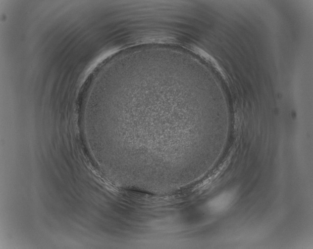 X0000072551019200607211354