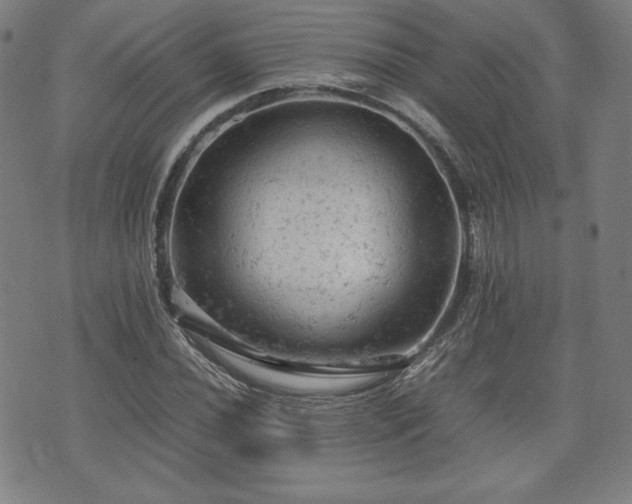 X0000072551020200607211354