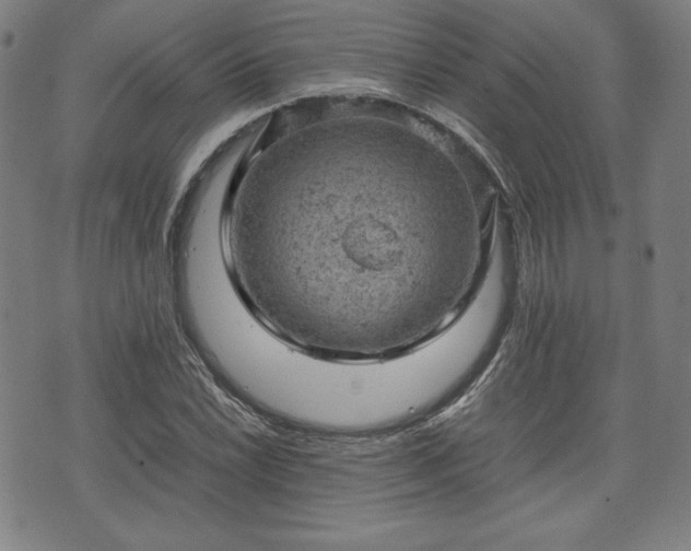 X0000072551022200607211354