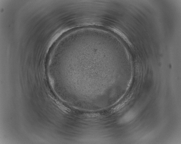 X0000072551023200607211354