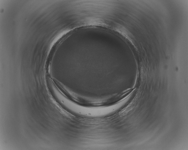 X0000072551024200607211354