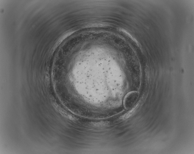 X0000072551025200607211354