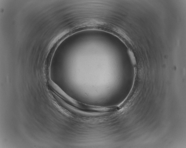 X0000072551026200607211354