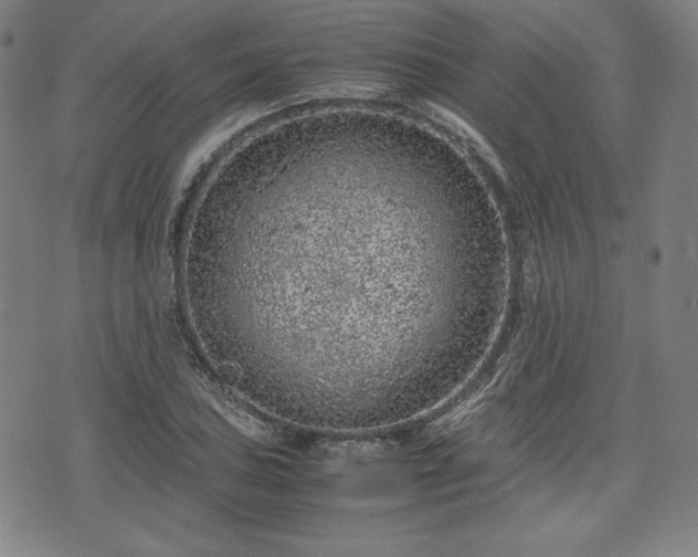 X0000072551027200607211354