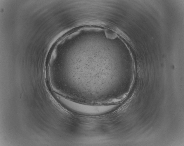 X0000072551028200607211354