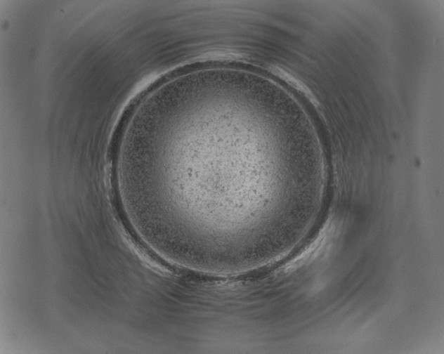 X0000072551029200607211354