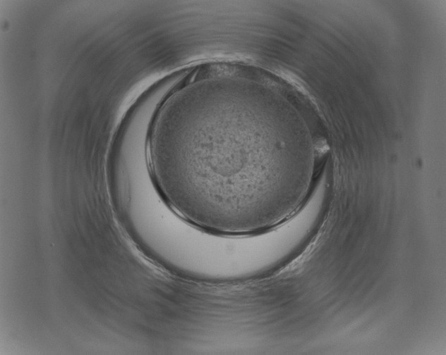 X0000072551030200607211354