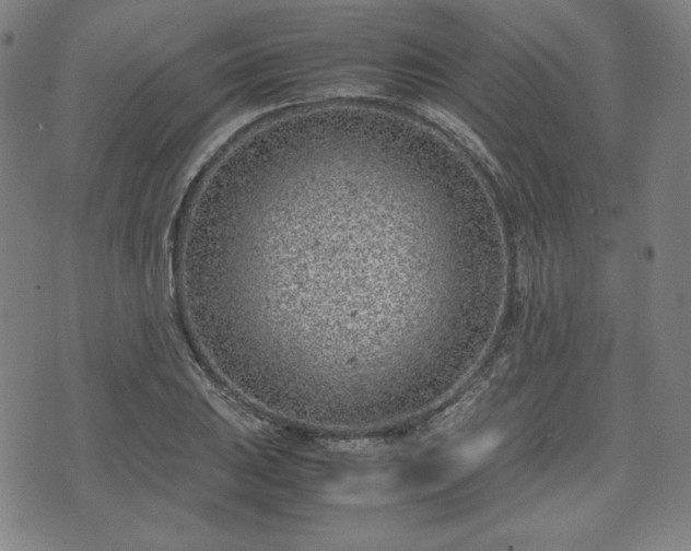 X0000072551031200607211354