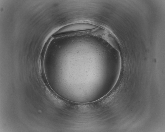 X0000072551032200607211354