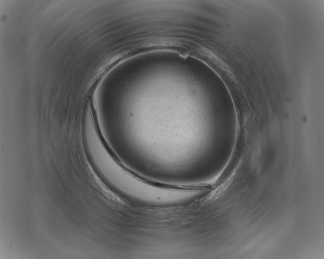 X0000072551033200607211354