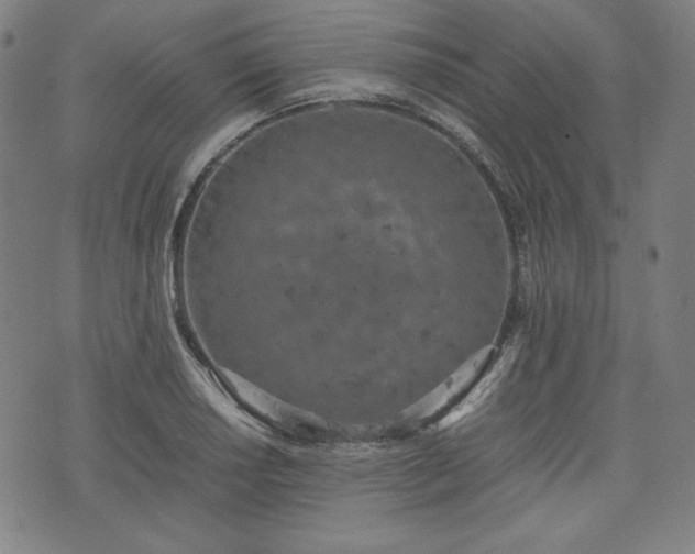 X0000072551034200607211354