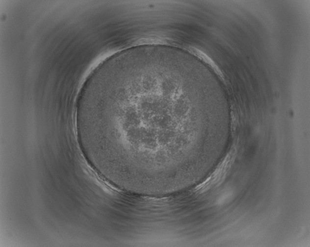 X0000072551035200607211354