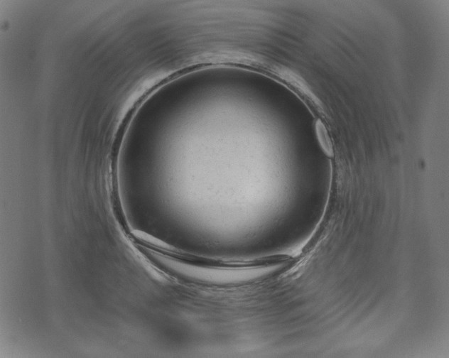 X0000072551040200607211354