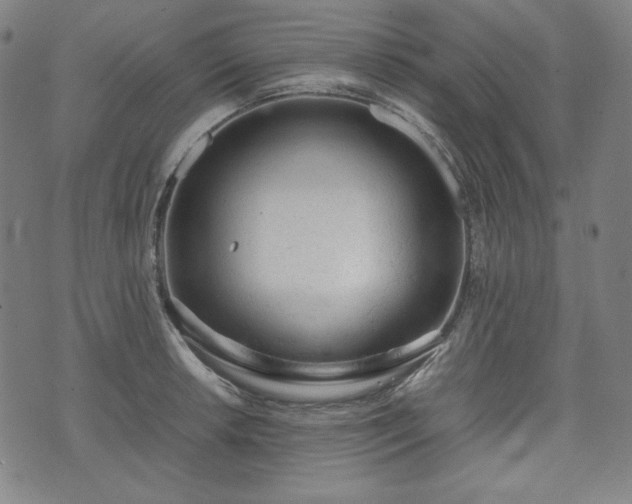 X0000072551042200607211354