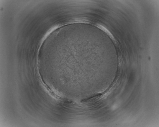 X0000072551043200607211354