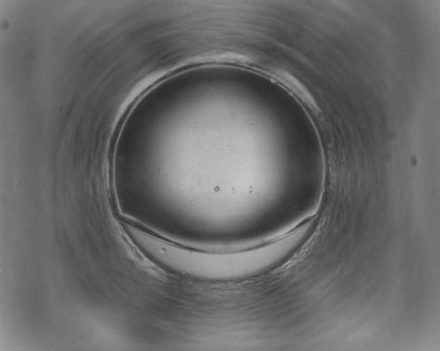 X0000072551044200607211354