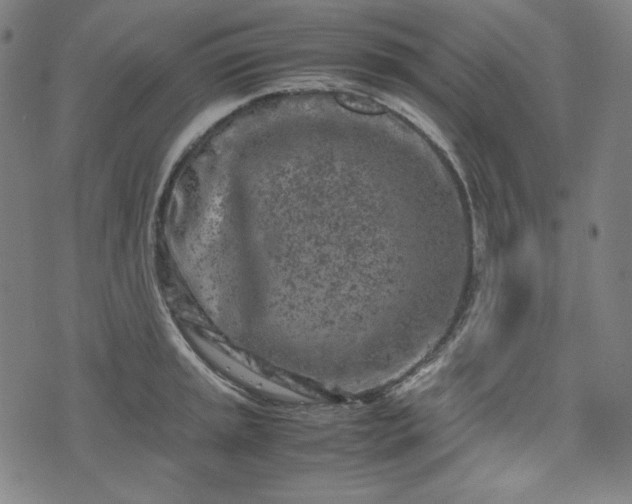 X0000072551045200607211354