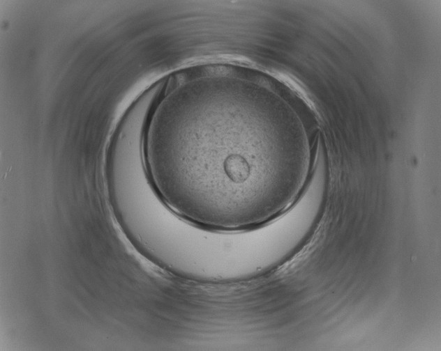 X0000072551046200607211354