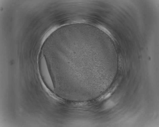 X0000072551047200607211354