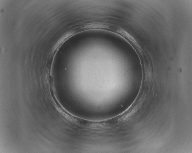 X0000072551049200607211354