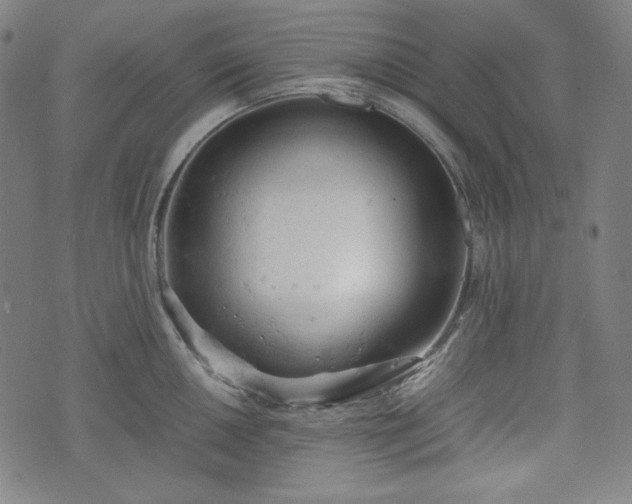 X0000072551050200607211354