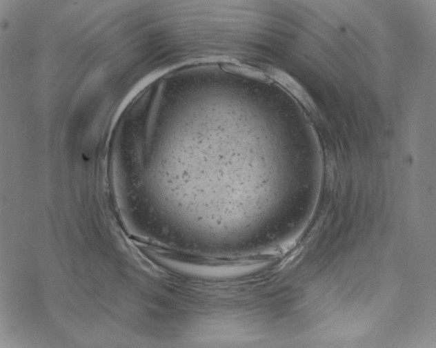 X0000072551052200607211354