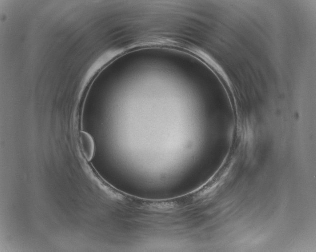 X0000072551053200607211354