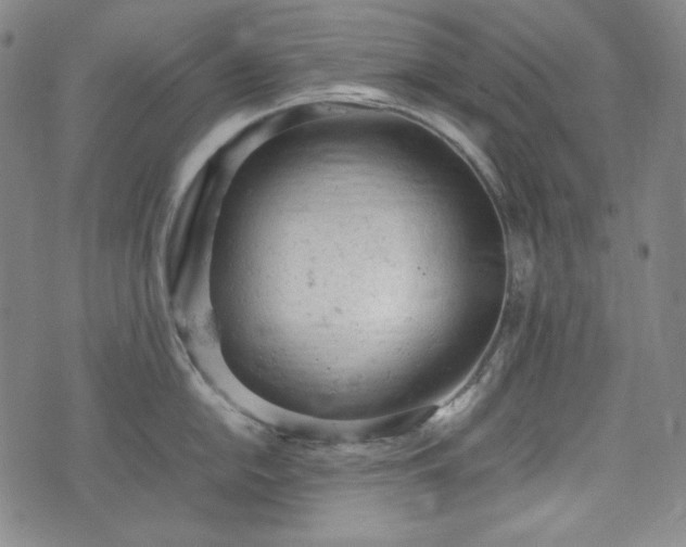 X0000072551054200607211354