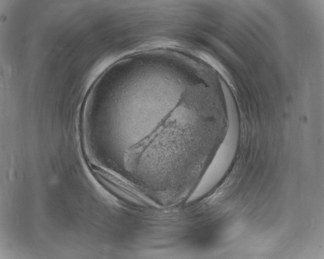 X0000072551055200607211354