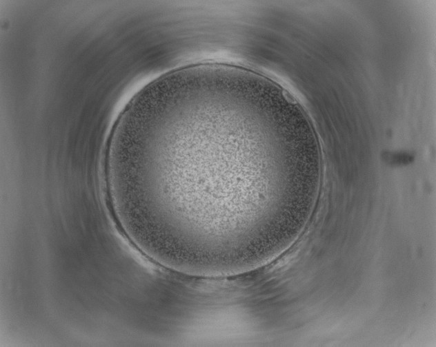 X0000072551056200607211354