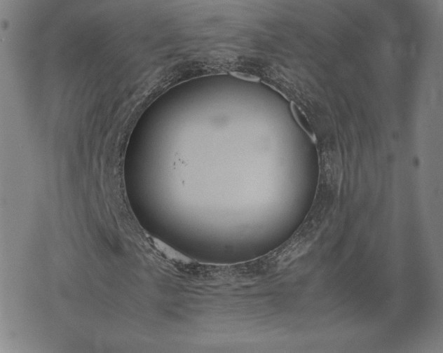 X0000072551057200607211353