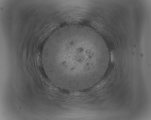 X0000072551059200607211353