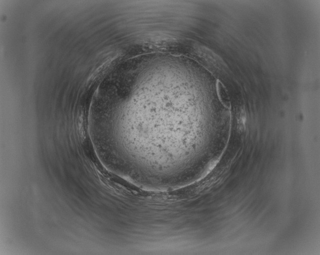 X0000072551060200607211353