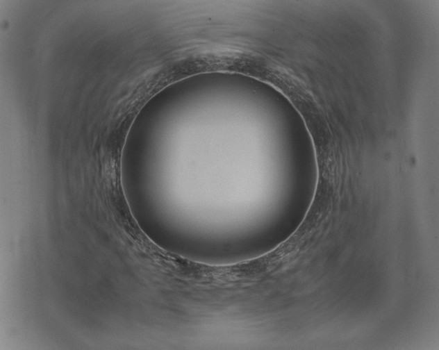 X0000072551061200607211353