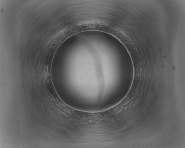 X0000072551062200607211353