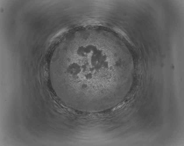 X0000072551063200607211353