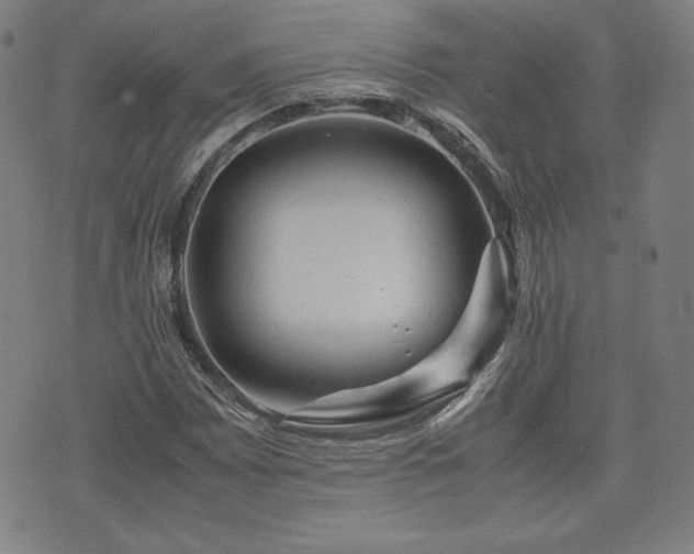 X0000072551065200607211353