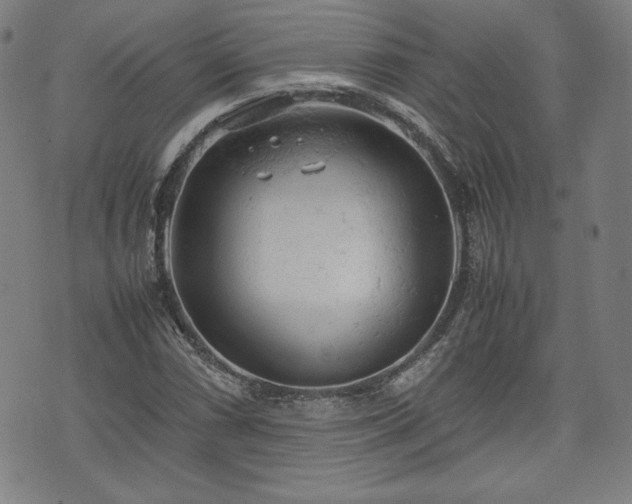 X0000072551066200607211353